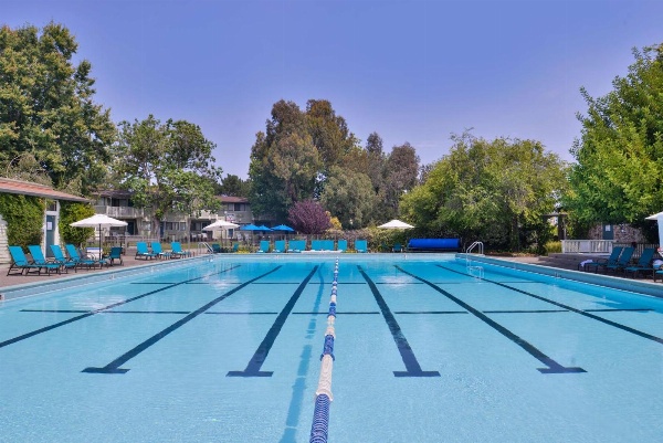 Best Western Corte Madera Inn image 1